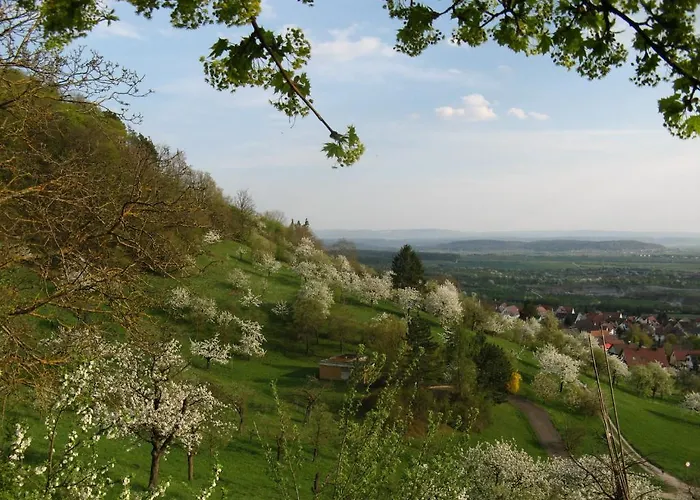 & Restaurant Kaiser Superior فندق هيرنباغ